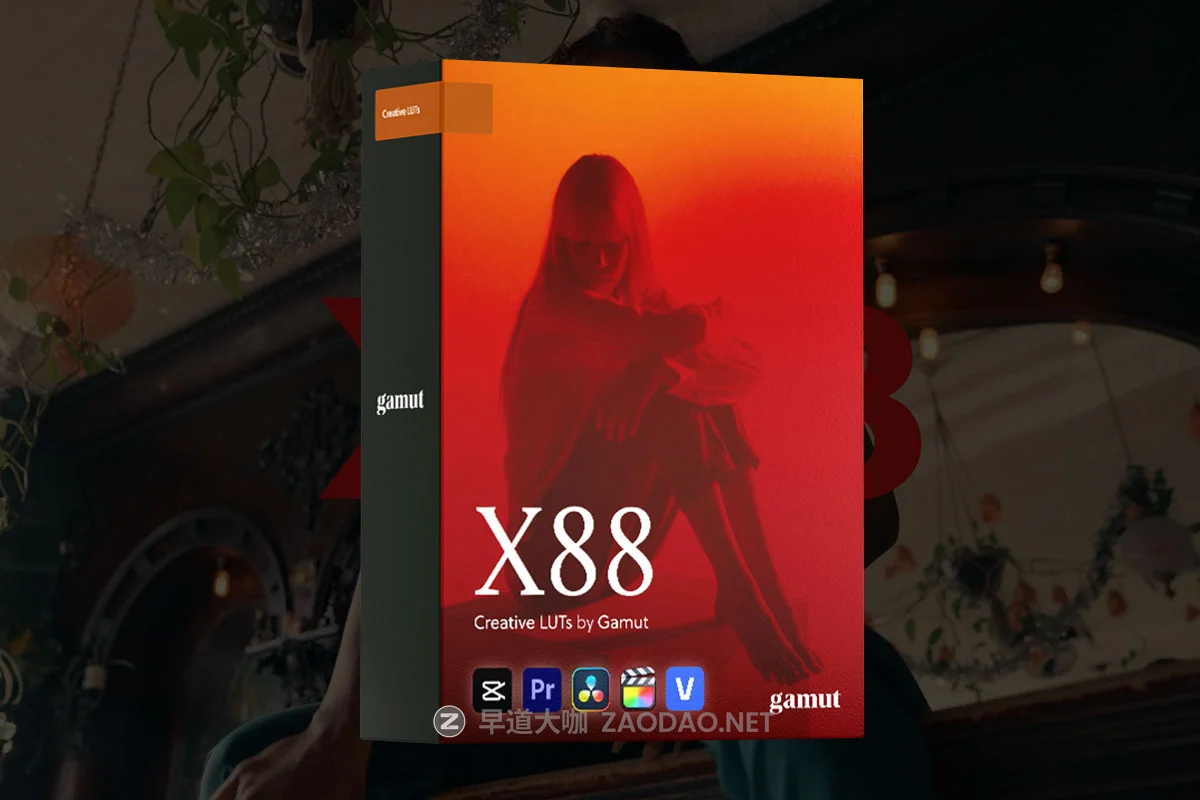 GAMUT 经典柯达2383胶片模拟怀旧电影感旅拍人像vlog视频调色lut预设包 GAMUT – X88 LUT Collection插图 GAMUT 经典柯达2383胶片模拟怀旧电影感旅拍人像vlog视频调色lut预设包 GAMUT – X88 LUT Collection插图