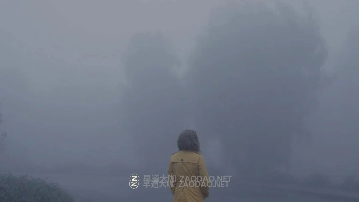 GradeFruit 15组好莱坞电影风格复古怀旧旅拍Vlog视频照片调色LUT+LR调色预设+中文教程 GradeFruit – Movie Looks LUTs & LR Presets插图3 GradeFruit 15组好莱坞电影风格复古怀旧旅拍Vlog视频照片调色LUT+LR调色预设+中文教程 GradeFruit – Movie Looks LUTs & LR Presets插图3