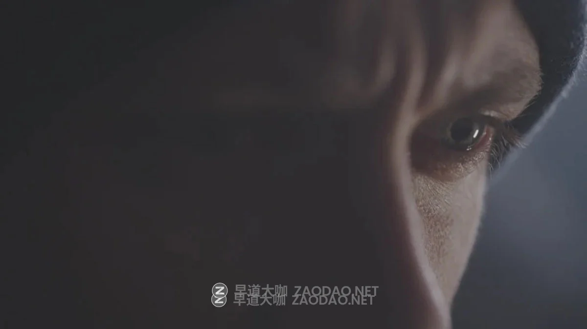 GradeFruit 15组好莱坞电影风格复古怀旧旅拍Vlog视频照片调色LUT+LR调色预设+中文教程 GradeFruit – Movie Looks LUTs & LR Presets插图13 GradeFruit 15组好莱坞电影风格复古怀旧旅拍Vlog视频照片调色LUT+LR调色预设+中文教程 GradeFruit – Movie Looks LUTs & LR Presets插图13