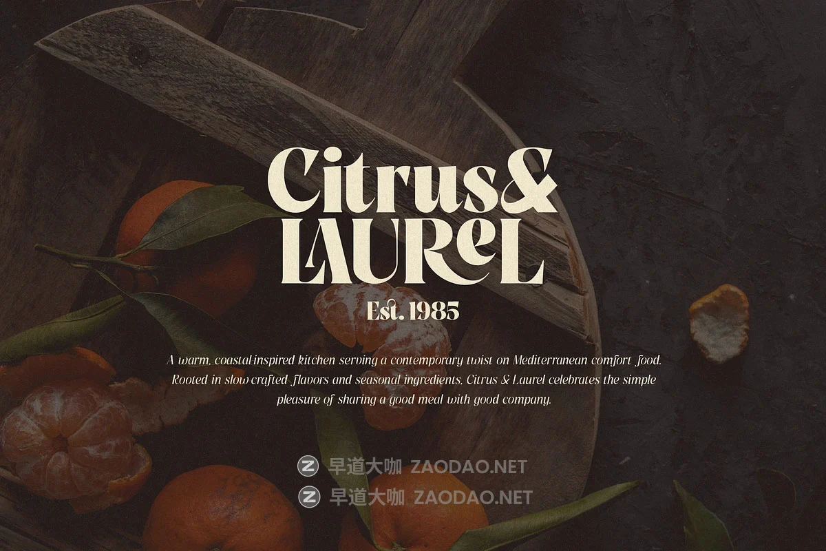 MyFonts – Pure Motif Font Family 18款字重经典永恒情感奢华品牌包装叙事品牌标题logo设计衬线英文字体插图8 MyFonts – Pure Motif Font Family 18款字重经典永恒情感奢华品牌包装叙事品牌标题logo设计衬线英文字体插图8