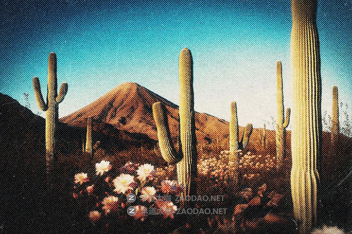 复古灰尘划痕做旧颗粒感半色调照片图像修图ps特效滤镜插件样机 Nostalgic Grain Card Effect插图3 复古灰尘划痕做旧颗粒感半色调照片图像修图ps特效滤镜插件样机 Nostalgic Grain Card Effect插图3