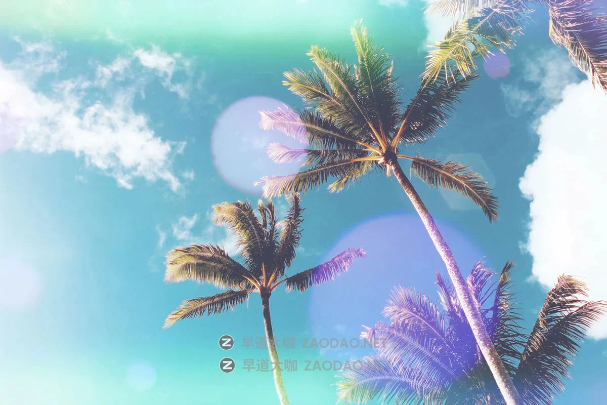 100+款迷幻6K高清灰尘杂点彩色胶片灼伤烧灼漏光光斑视频剪辑叠加效果素材 Sickboat – Color Photo Film Burn Images + Light Leaks (6K)插图9 100+款迷幻6K高清灰尘杂点彩色胶片灼伤烧灼漏光光斑视频剪辑叠加效果素材 Sickboat – Color Photo Film Burn Images + Light Leaks (6K)插图9