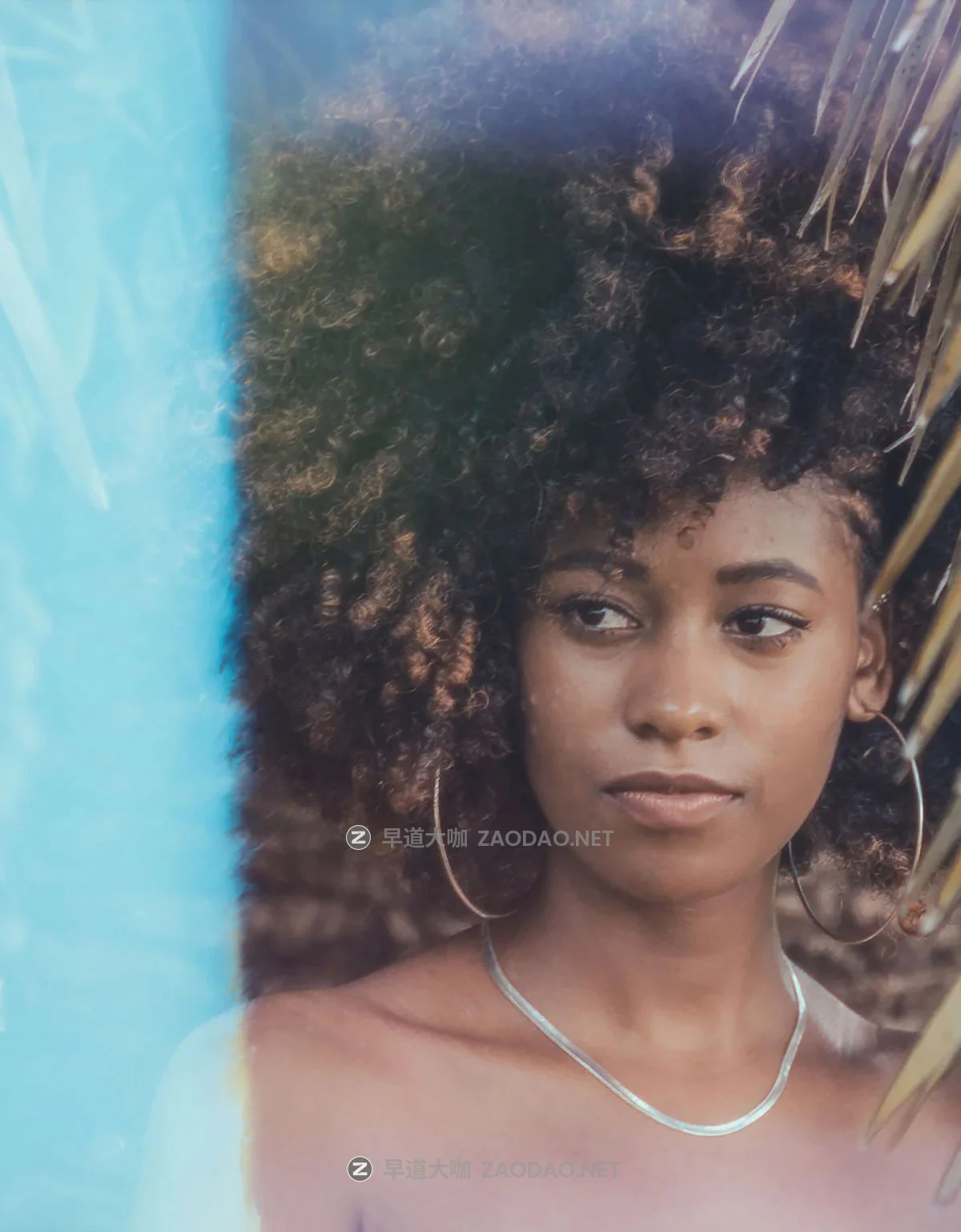 100+款迷幻6K高清灰尘杂点彩色胶片灼伤烧灼漏光光斑视频剪辑叠加效果素材 Sickboat – Color Photo Film Burn Images + Light Leaks (6K)插图7 100+款迷幻6K高清灰尘杂点彩色胶片灼伤烧灼漏光光斑视频剪辑叠加效果素材 Sickboat – Color Photo Film Burn Images + Light Leaks (6K)插图7