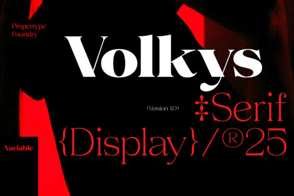 Volkys Serif – 19 Fonts 19款字重当代豪华优雅品牌标志logo包装杂志标题设计衬线英文字体特色图 Volkys Serif – 19 Fonts 19款字重当代豪华优雅品牌标志logo包装杂志标题设计衬线英文字体