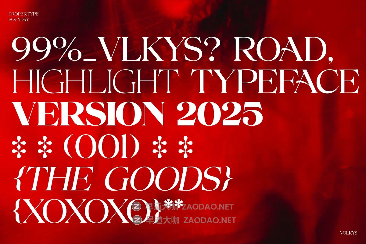 Volkys Serif – 19 Fonts 19款字重当代豪华优雅品牌标志logo包装杂志标题设计衬线英文字体插图9 Volkys Serif – 19 Fonts 19款字重当代豪华优雅品牌标志logo包装杂志标题设计衬线英文字体插图9