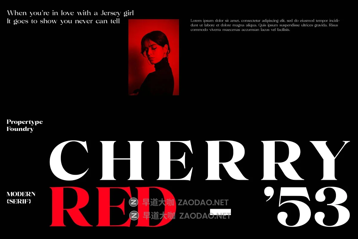 Volkys Serif – 19 Fonts 19款字重当代豪华优雅品牌标志logo包装杂志标题设计衬线英文字体插图4 Volkys Serif – 19 Fonts 19款字重当代豪华优雅品牌标志logo包装杂志标题设计衬线英文字体插图4