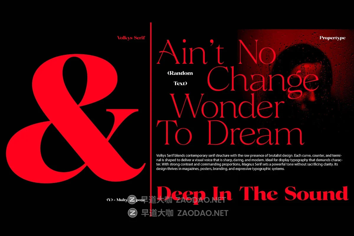 Volkys Serif – 19 Fonts 19款字重当代豪华优雅品牌标志logo包装杂志标题设计衬线英文字体插图3 Volkys Serif – 19 Fonts 19款字重当代豪华优雅品牌标志logo包装杂志标题设计衬线英文字体插图3