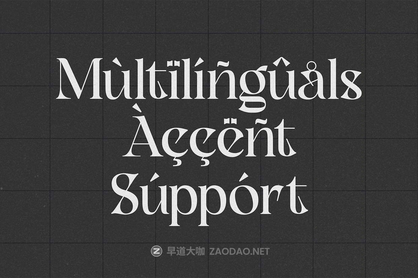 时尚优雅复古美学品牌海报包装徽标设计衬线英文字体安装包 Slagless – Urban Display Serif插图6 时尚优雅复古美学品牌海报包装徽标设计衬线英文字体安装包 Slagless – Urban Display Serif插图6