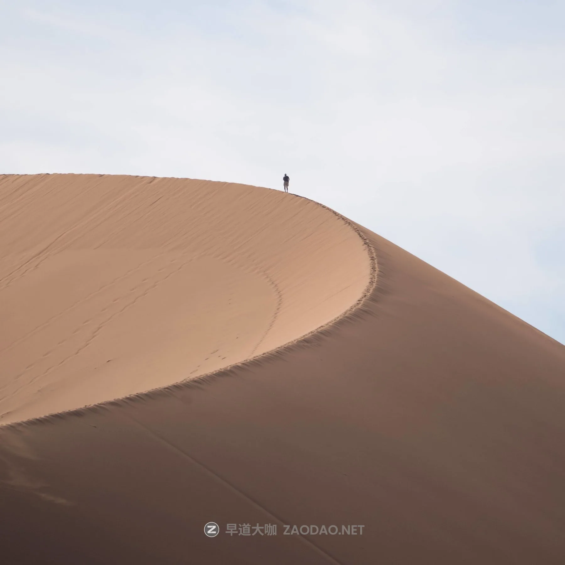 20260205002707751 20260205002707751