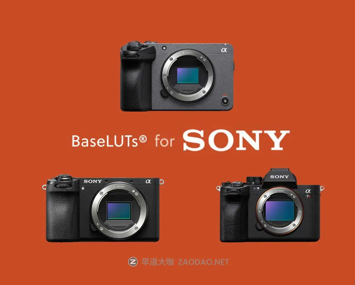 20260206070651565 20260206070651565