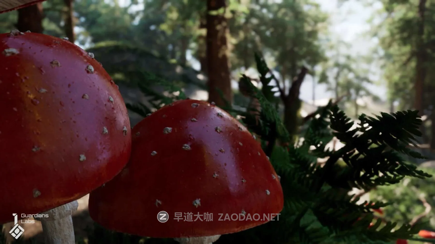 20260206132718415 20260206132718415