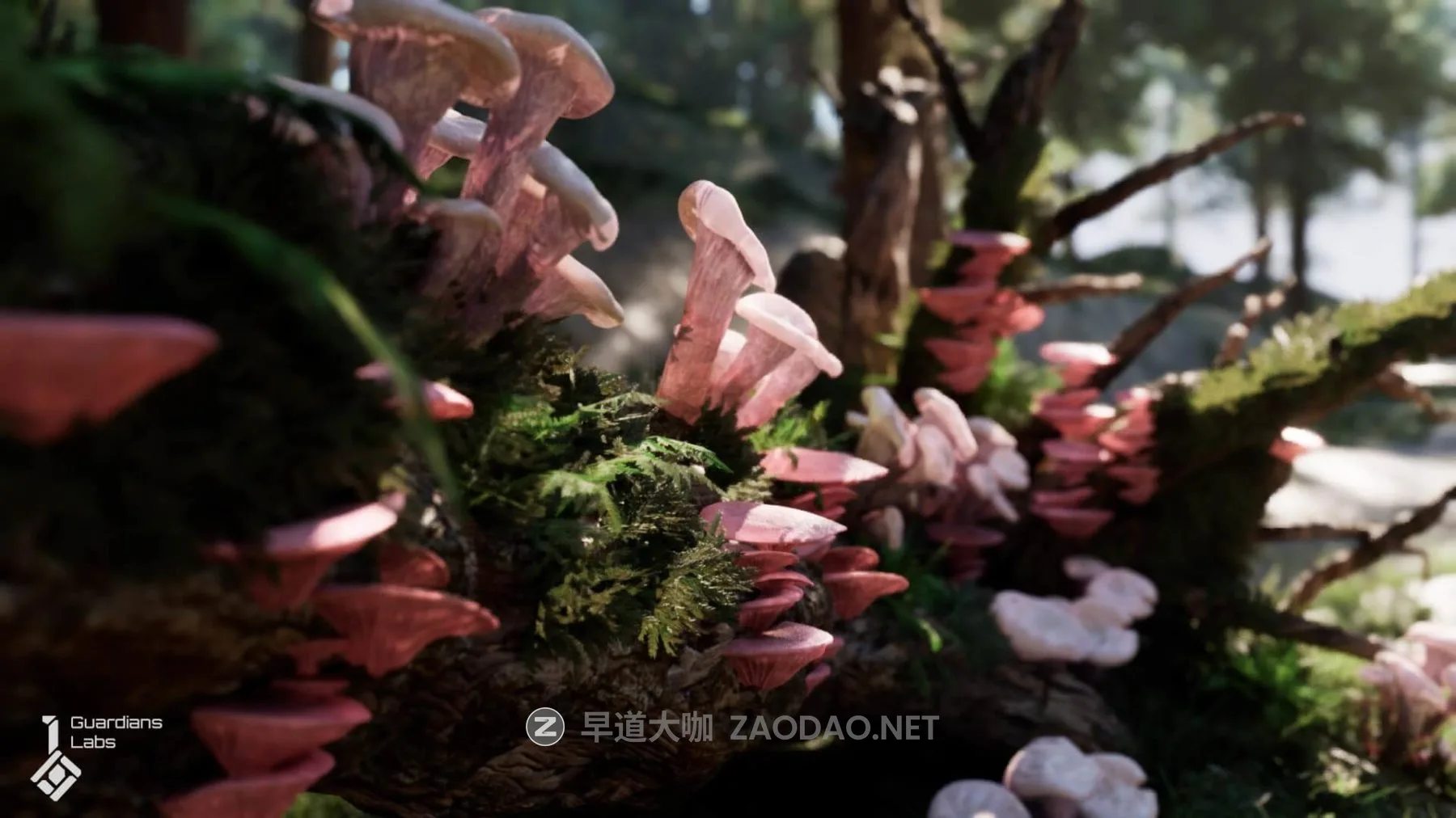 20260206132719414 20260206132719414