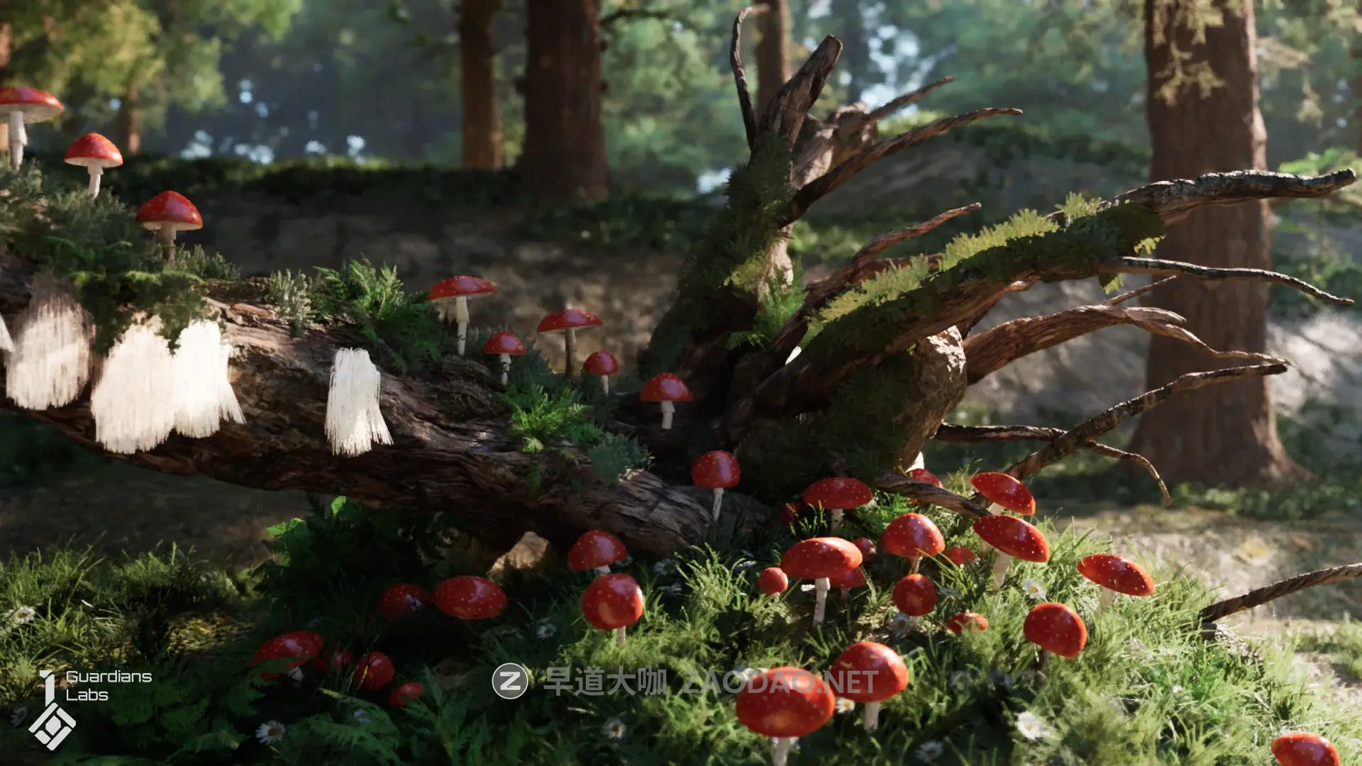 UE素材 森林真菌蘑菇3D资产模型素材 Forest Fungi – Mushroom Pack UE5.0插图 UE素材 森林真菌蘑菇3D资产模型素材 Forest Fungi – Mushroom Pack UE5.0插图