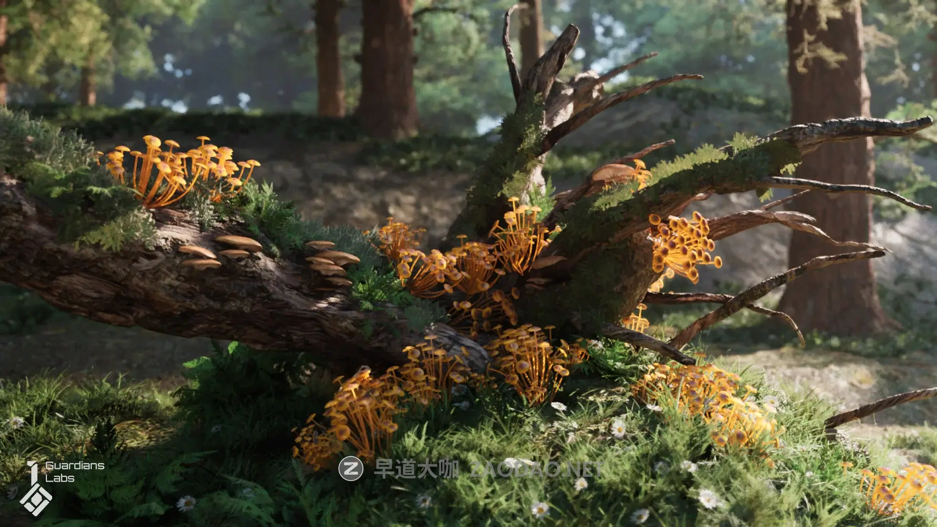 UE素材 森林真菌蘑菇3D资产模型素材 Forest Fungi – Mushroom Pack UE5.0插图1 UE素材 森林真菌蘑菇3D资产模型素材 Forest Fungi – Mushroom Pack UE5.0插图1