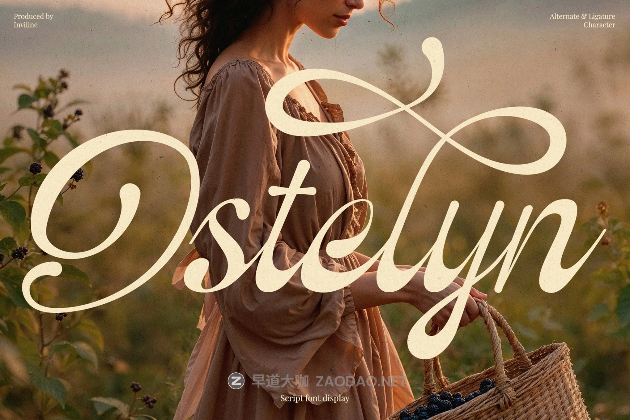 现代优雅品牌包装徽标设计手写英文字体安装包 Ostelyn – Elegant Script Font for Branding插图 现代优雅品牌包装徽标设计手写英文字体安装包 Ostelyn – Elegant Script Font for Branding插图
