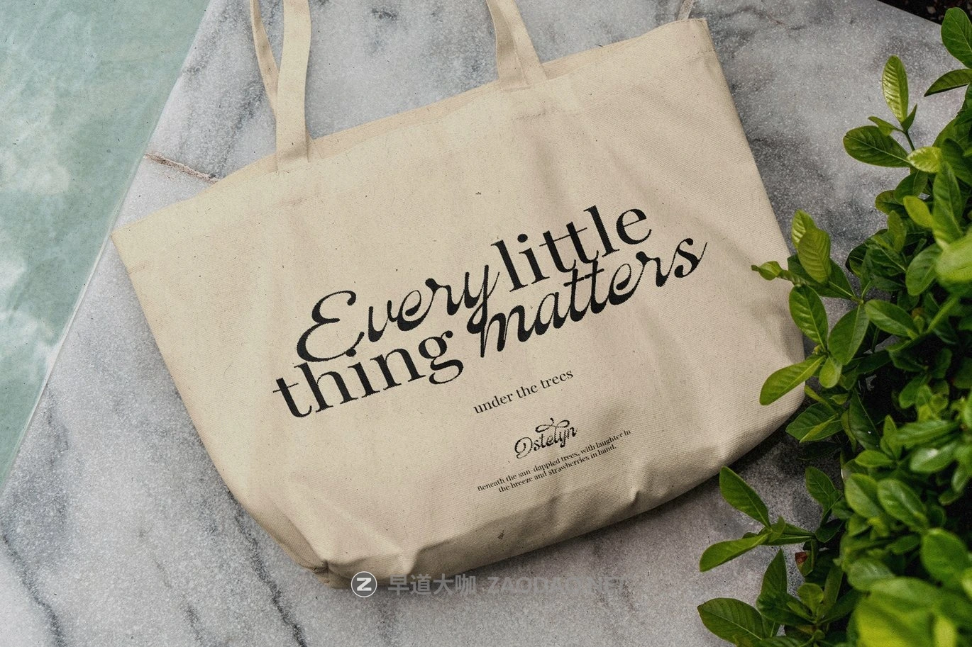 现代优雅品牌包装徽标设计手写英文字体安装包 Ostelyn – Elegant Script Font for Branding插图1 现代优雅品牌包装徽标设计手写英文字体安装包 Ostelyn – Elegant Script Font for Branding插图1