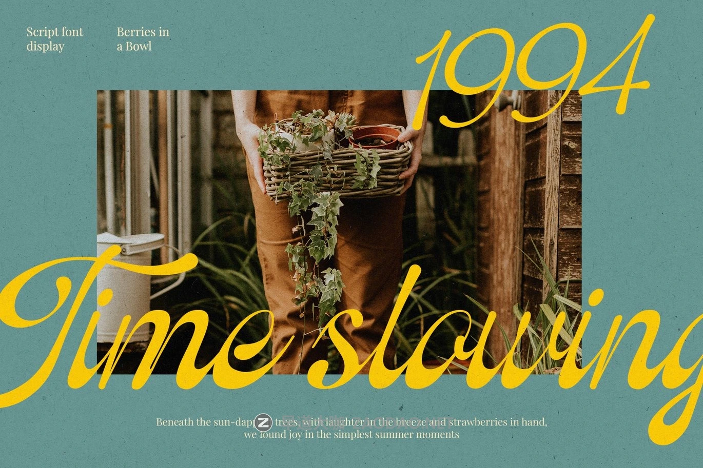 现代优雅品牌包装徽标设计手写英文字体安装包 Ostelyn – Elegant Script Font for Branding插图4 现代优雅品牌包装徽标设计手写英文字体安装包 Ostelyn – Elegant Script Font for Branding插图4