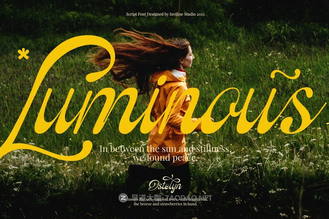 现代优雅品牌包装徽标设计手写英文字体安装包 Ostelyn – Elegant Script Font for Branding插图5 现代优雅品牌包装徽标设计手写英文字体安装包 Ostelyn – Elegant Script Font for Branding插图5