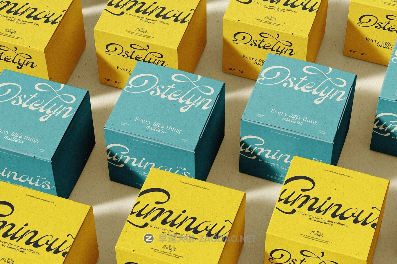 现代优雅品牌包装徽标设计手写英文字体安装包 Ostelyn – Elegant Script Font for Branding插图7 现代优雅品牌包装徽标设计手写英文字体安装包 Ostelyn – Elegant Script Font for Branding插图7