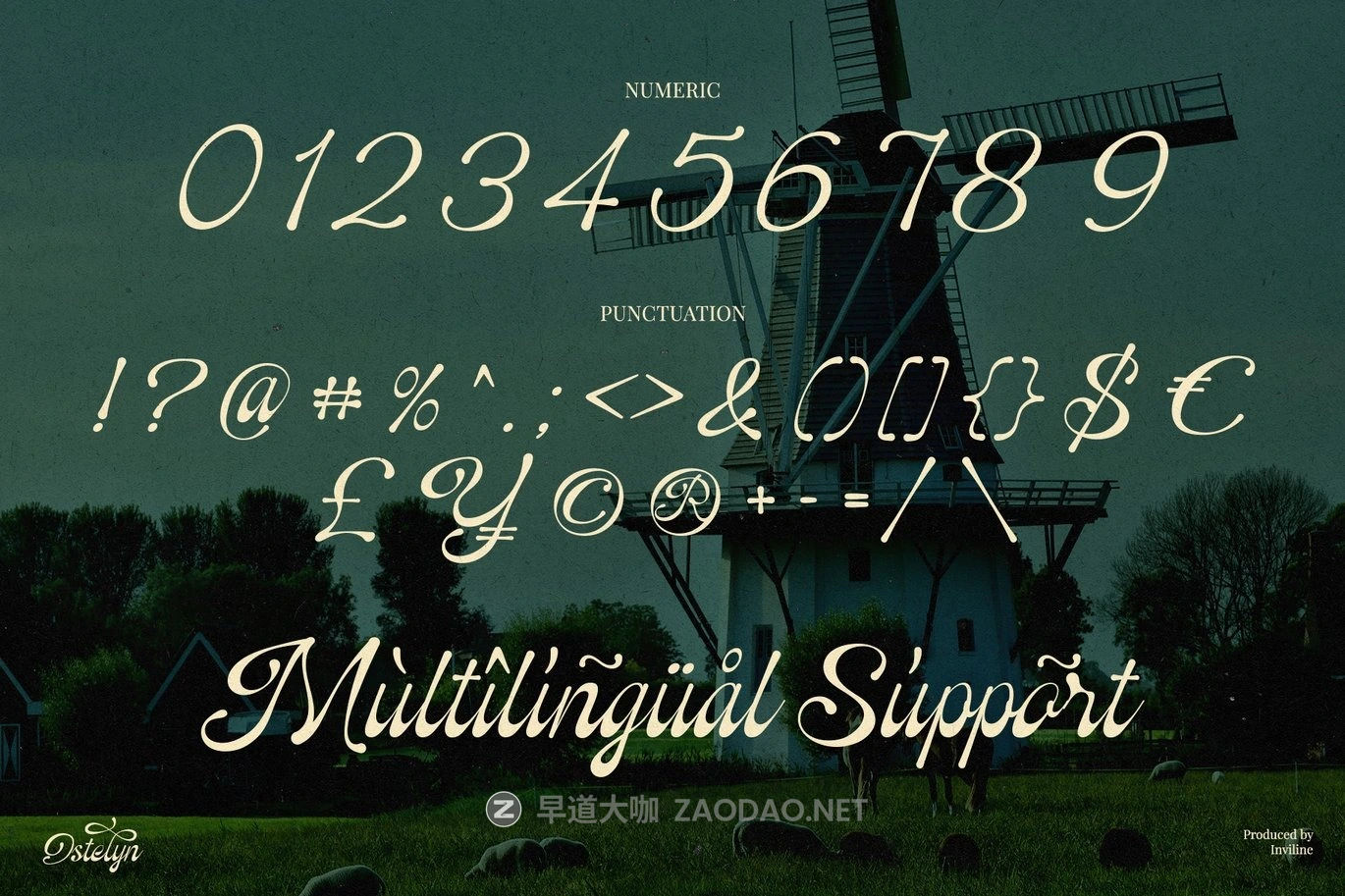 现代优雅品牌包装徽标设计手写英文字体安装包 Ostelyn – Elegant Script Font for Branding插图10 现代优雅品牌包装徽标设计手写英文字体安装包 Ostelyn – Elegant Script Font for Branding插图10