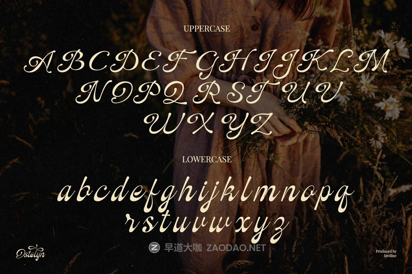 现代优雅品牌包装徽标设计手写英文字体安装包 Ostelyn – Elegant Script Font for Branding插图11 现代优雅品牌包装徽标设计手写英文字体安装包 Ostelyn – Elegant Script Font for Branding插图11
