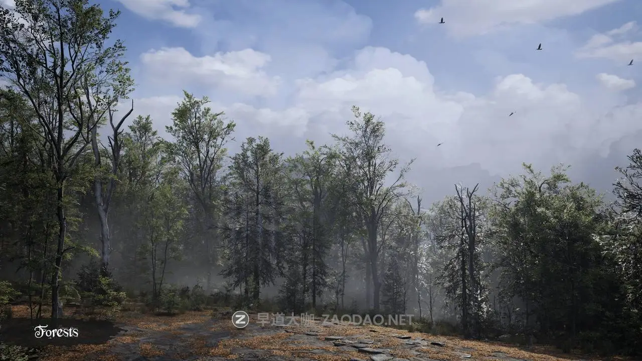 20260208012324707 20260208012324707