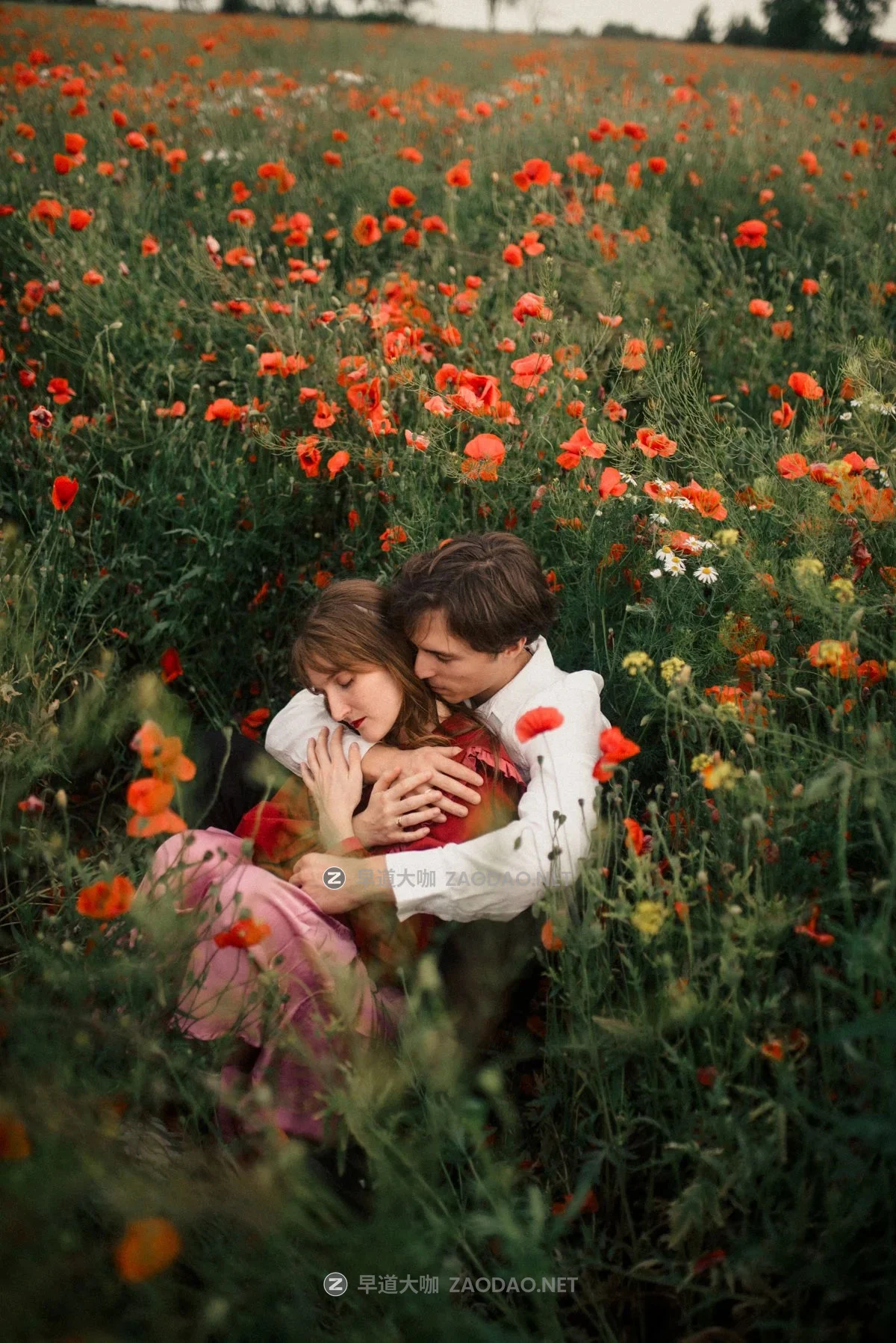 高级国外风RGB三原色琥珀橙森林绿风暴蓝户外结婚照人像摄影调色LR预设 Archipelago Quest 56 – RGB插图9 高级国外风RGB三原色琥珀橙森林绿风暴蓝户外结婚照人像摄影调色LR预设 Archipelago Quest 56 – RGB插图9