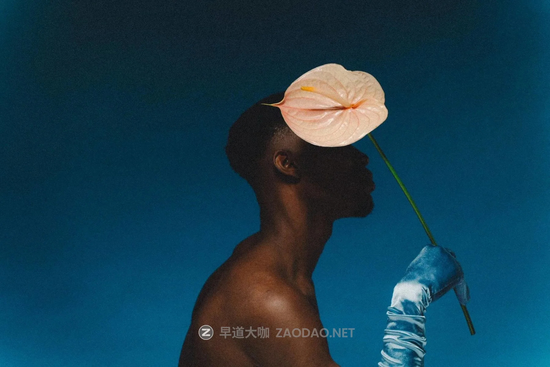 20260212003814572 20260212003814572