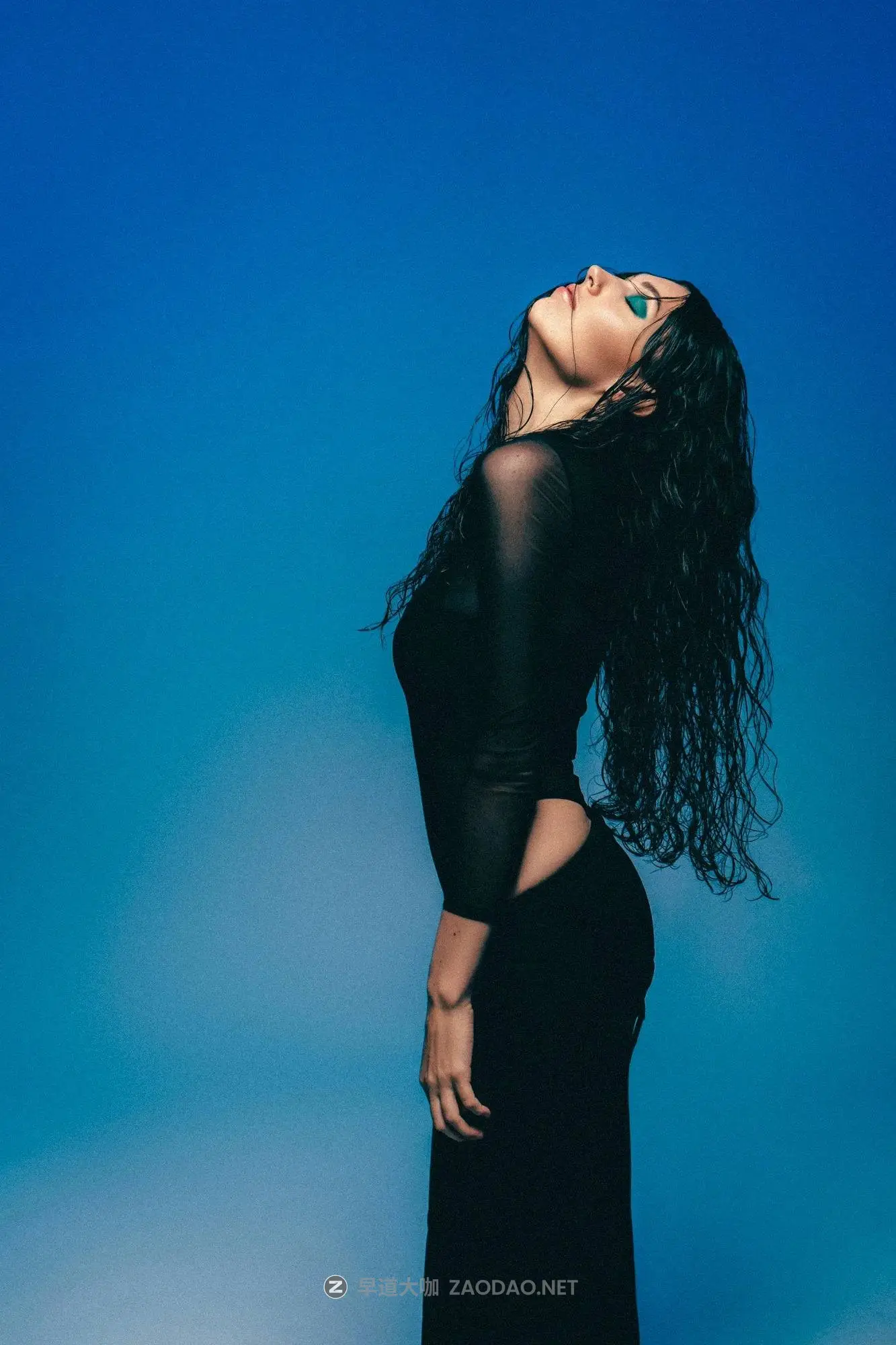 20260212003841309 20260212003841309