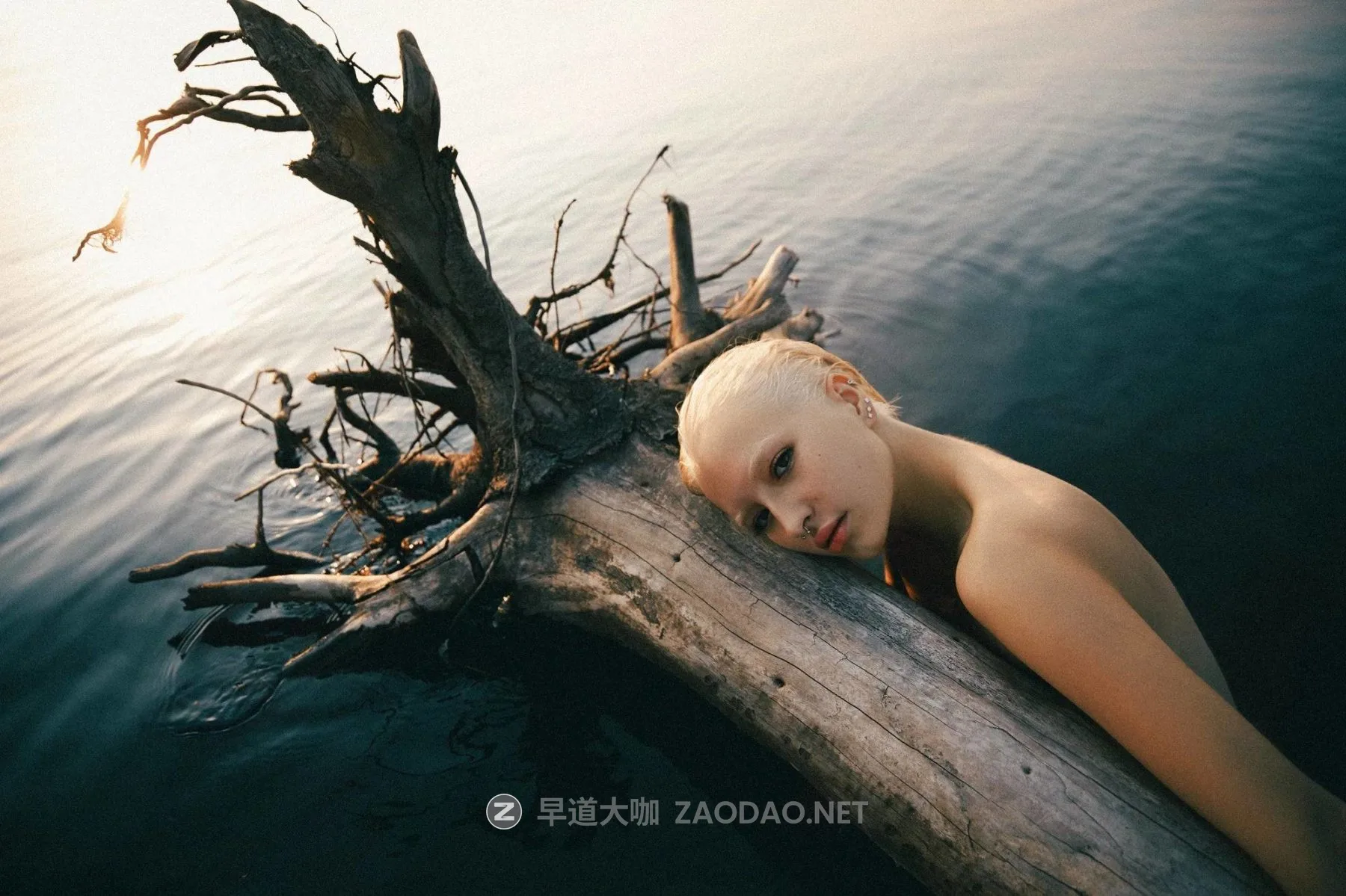 20260212003844859 20260212003844859