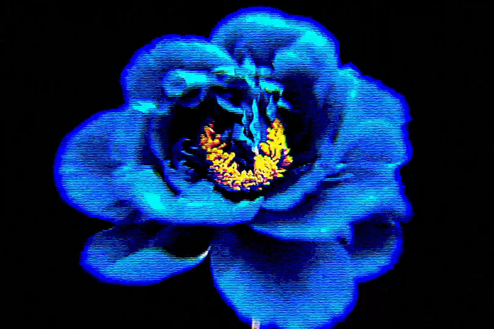 AE插件 复古嘻哈说唱涂鸦艺术半色调CRT故障混合剪辑一键生成特效插件 Jagnetics – NovelPro v1.0.4插图6 AE插件 复古嘻哈说唱涂鸦艺术半色调CRT故障混合剪辑一键生成特效插件 Jagnetics – NovelPro v1.0.4插图6