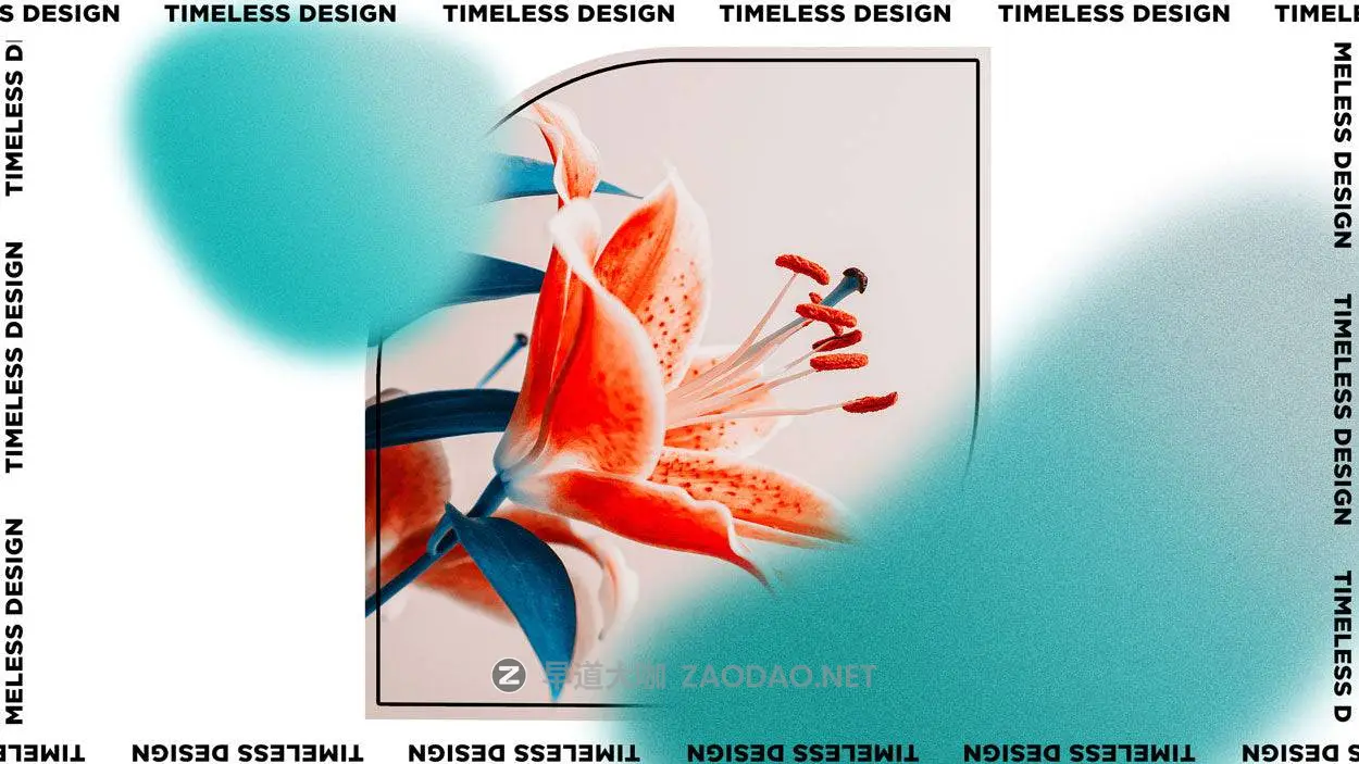 20260215124138432 20260215124138432