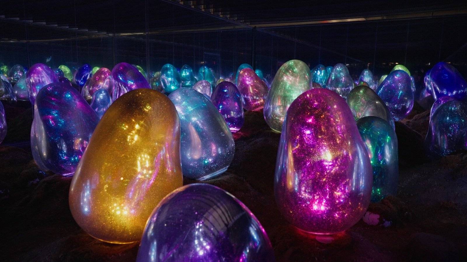 20260216142800768 20260216142800768