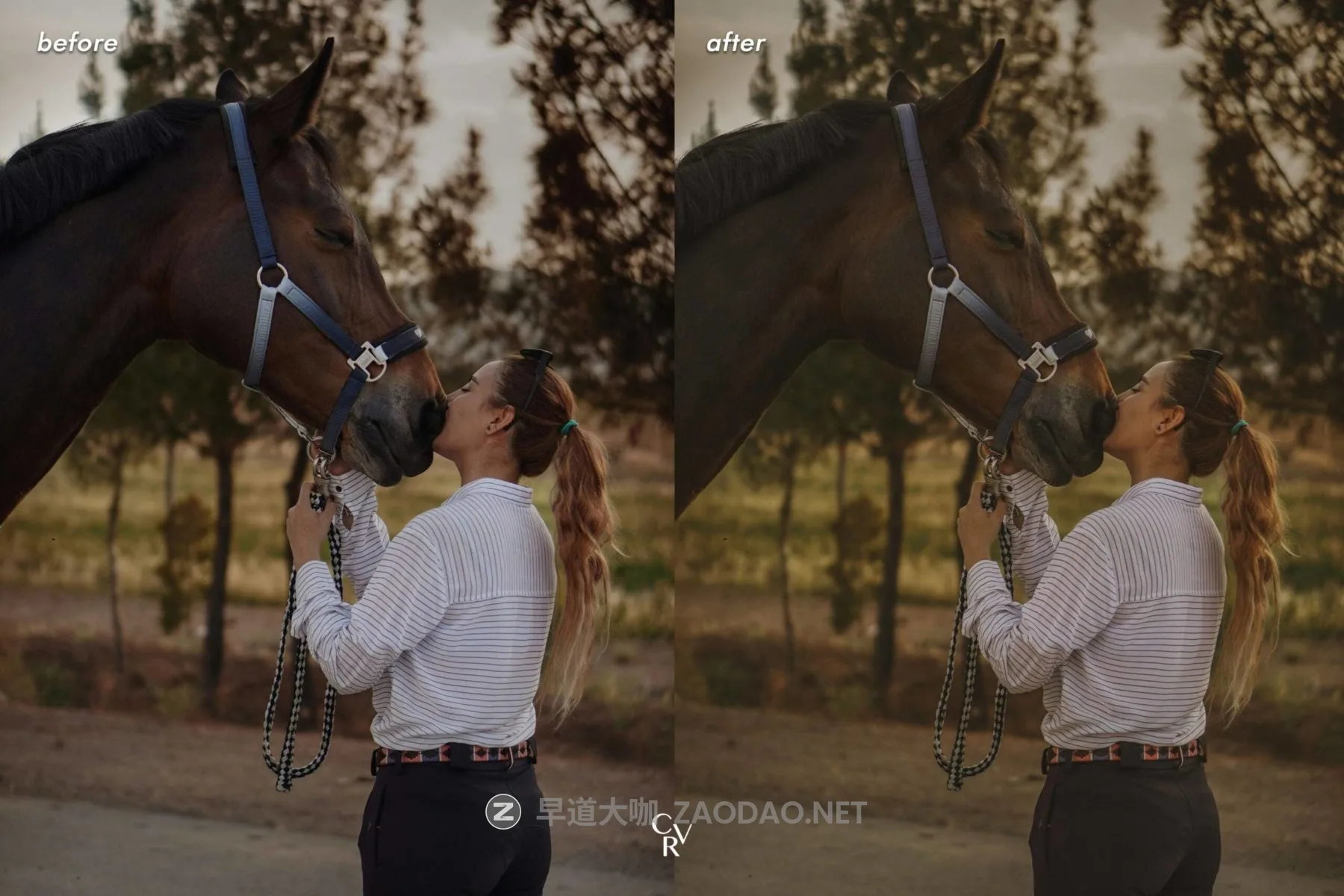 20260219012535320 20260219012535320