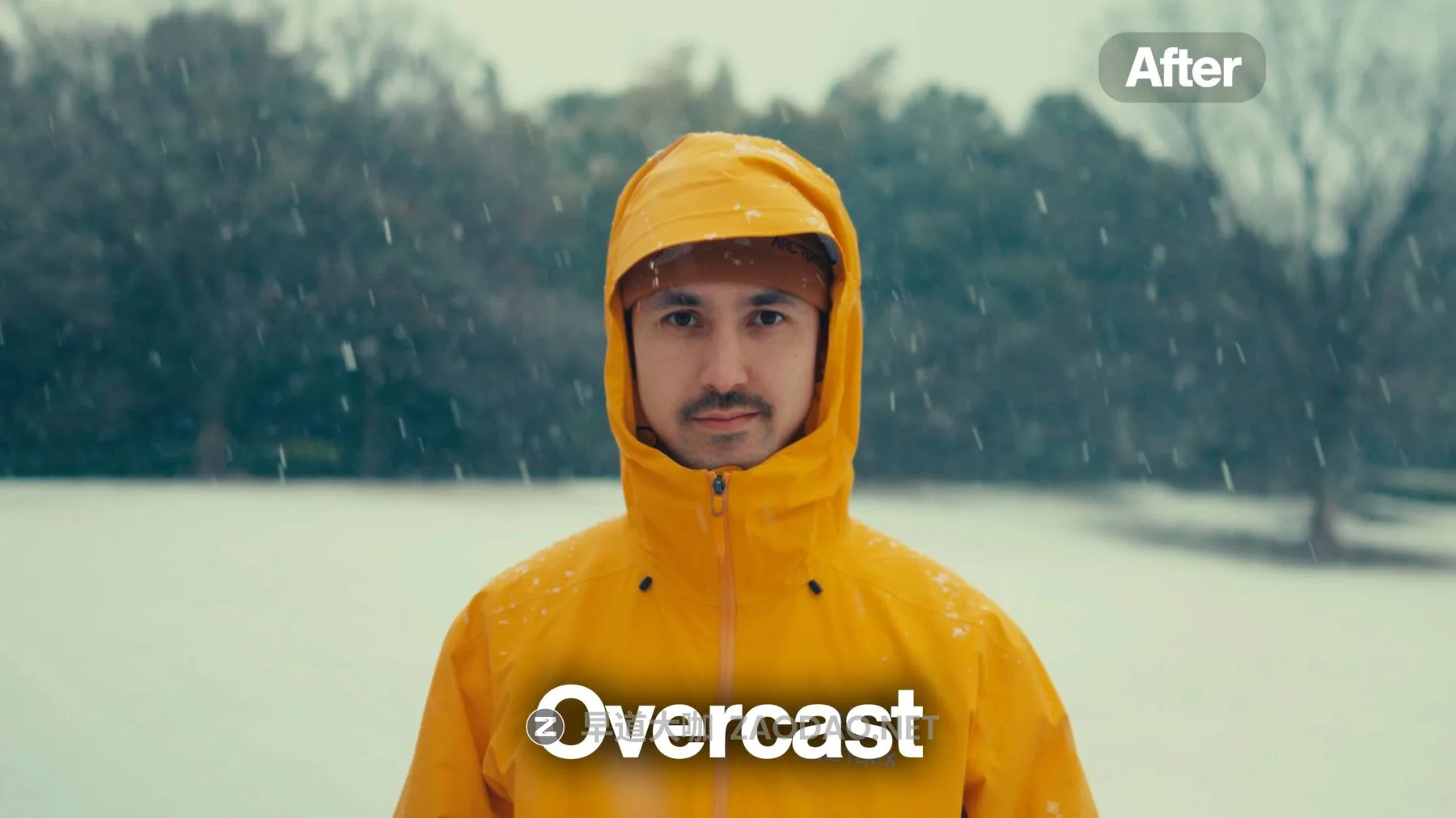 20260224120710801 20260224120710801