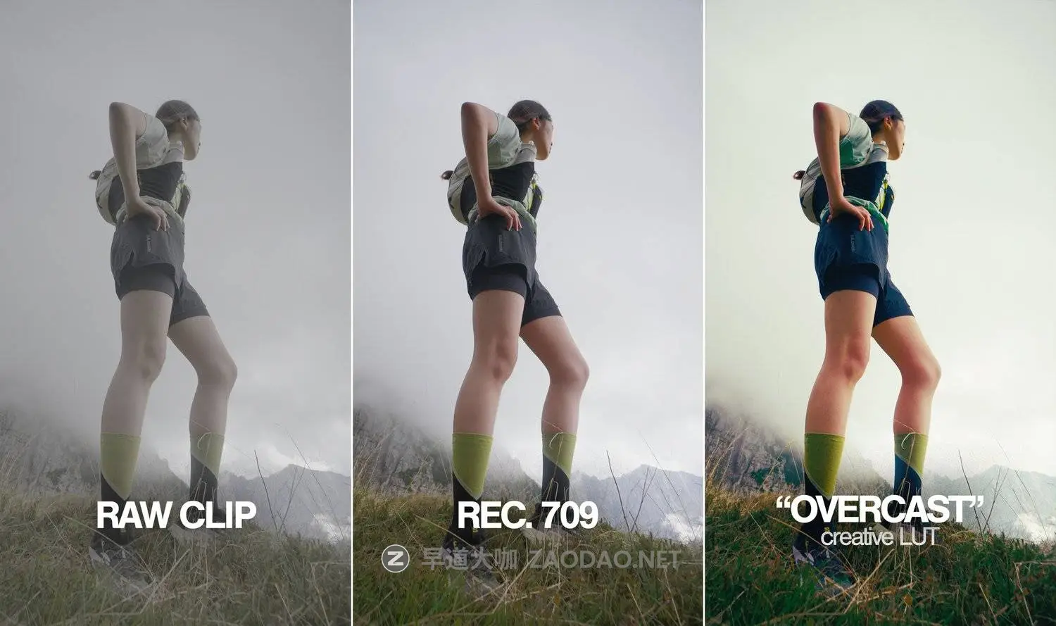 20260224120801727 20260224120801727