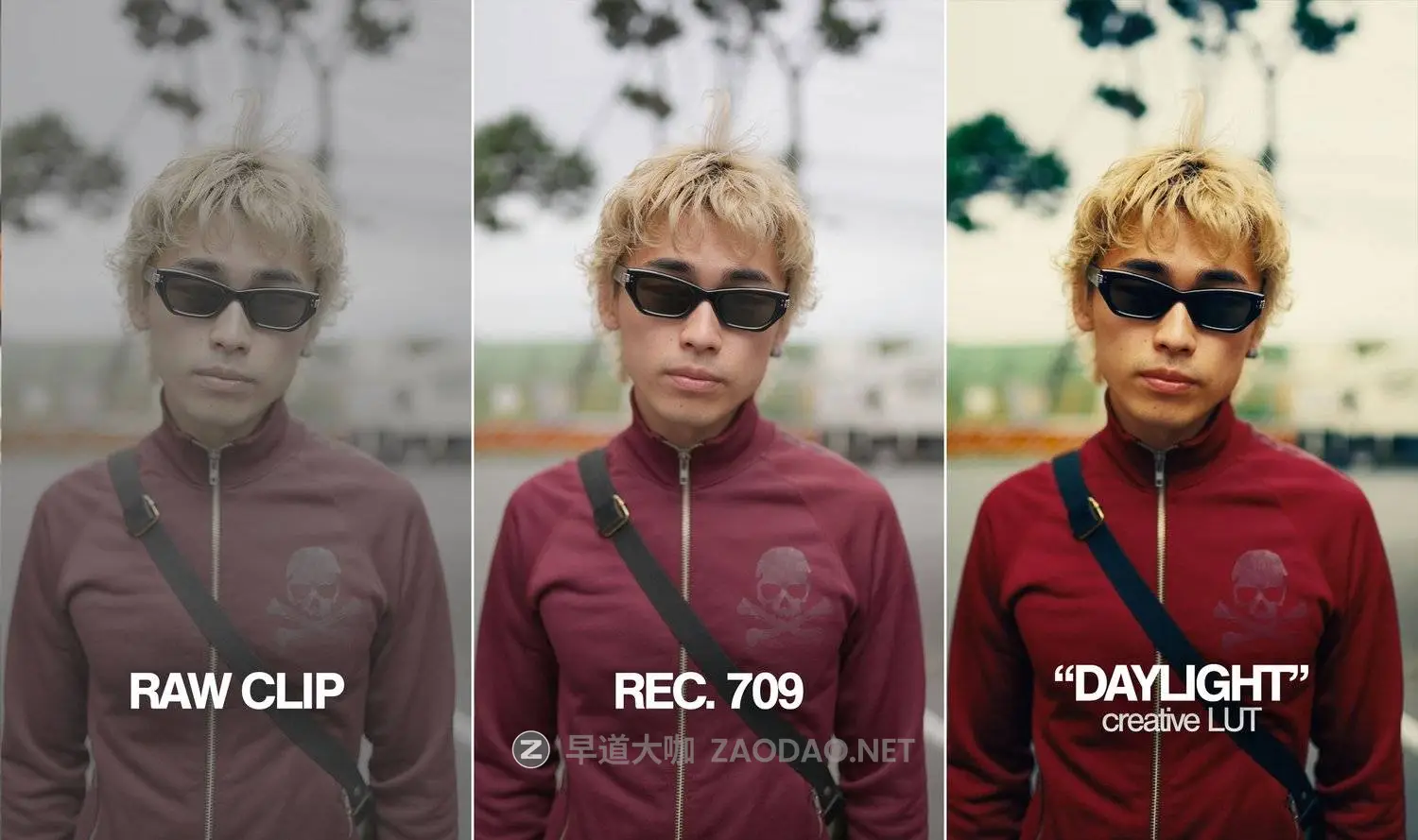 20260224120804943 20260224120804943