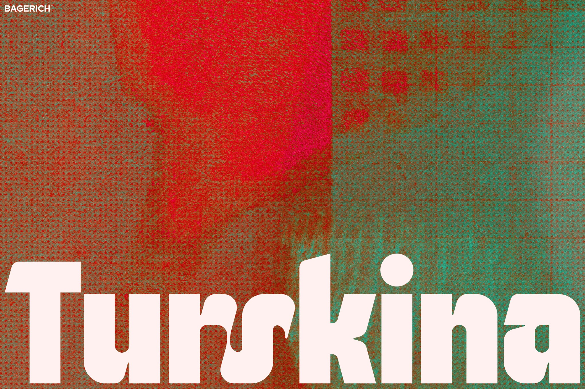 复古优雅品牌海报徽标设计无衬线英文字体安装包 Turskina插图 复古优雅品牌海报徽标设计无衬线英文字体安装包 Turskina插图