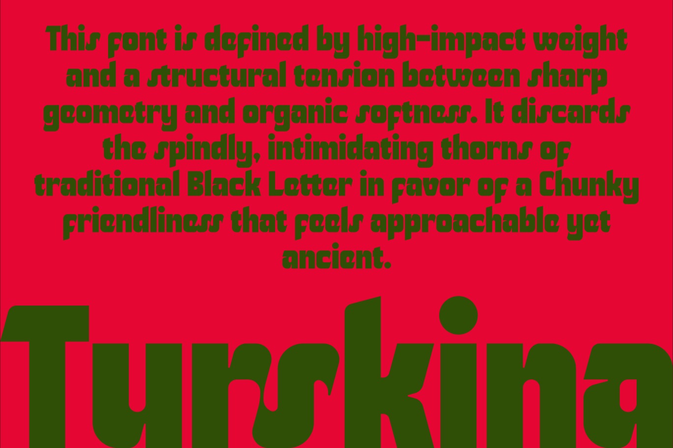 复古优雅品牌海报徽标设计无衬线英文字体安装包 Turskina插图1 复古优雅品牌海报徽标设计无衬线英文字体安装包 Turskina插图1