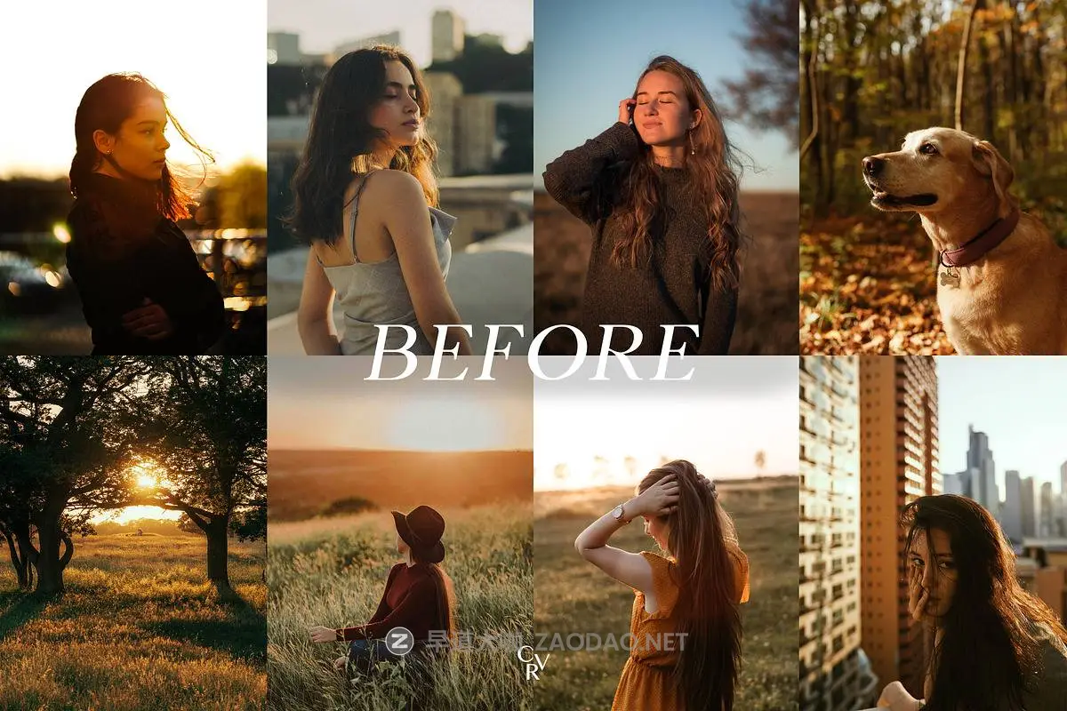 20260225130751125 20260225130751125