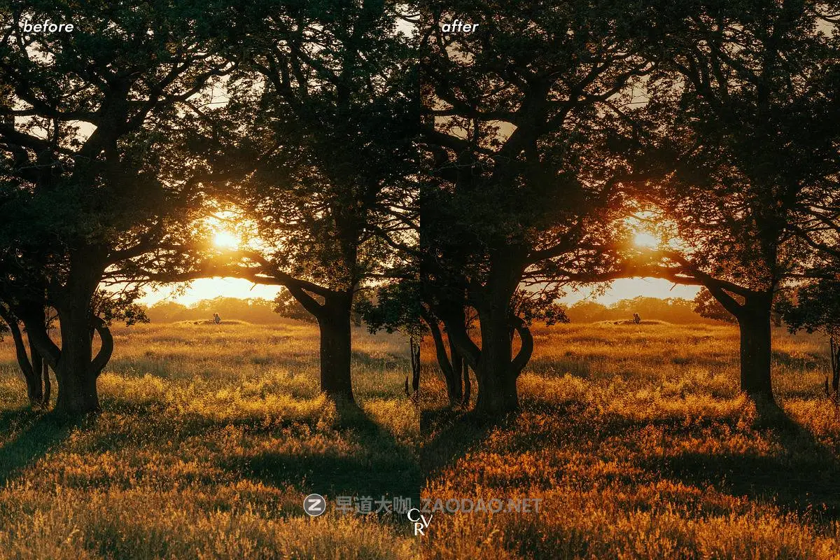 20260225130754785 20260225130754785