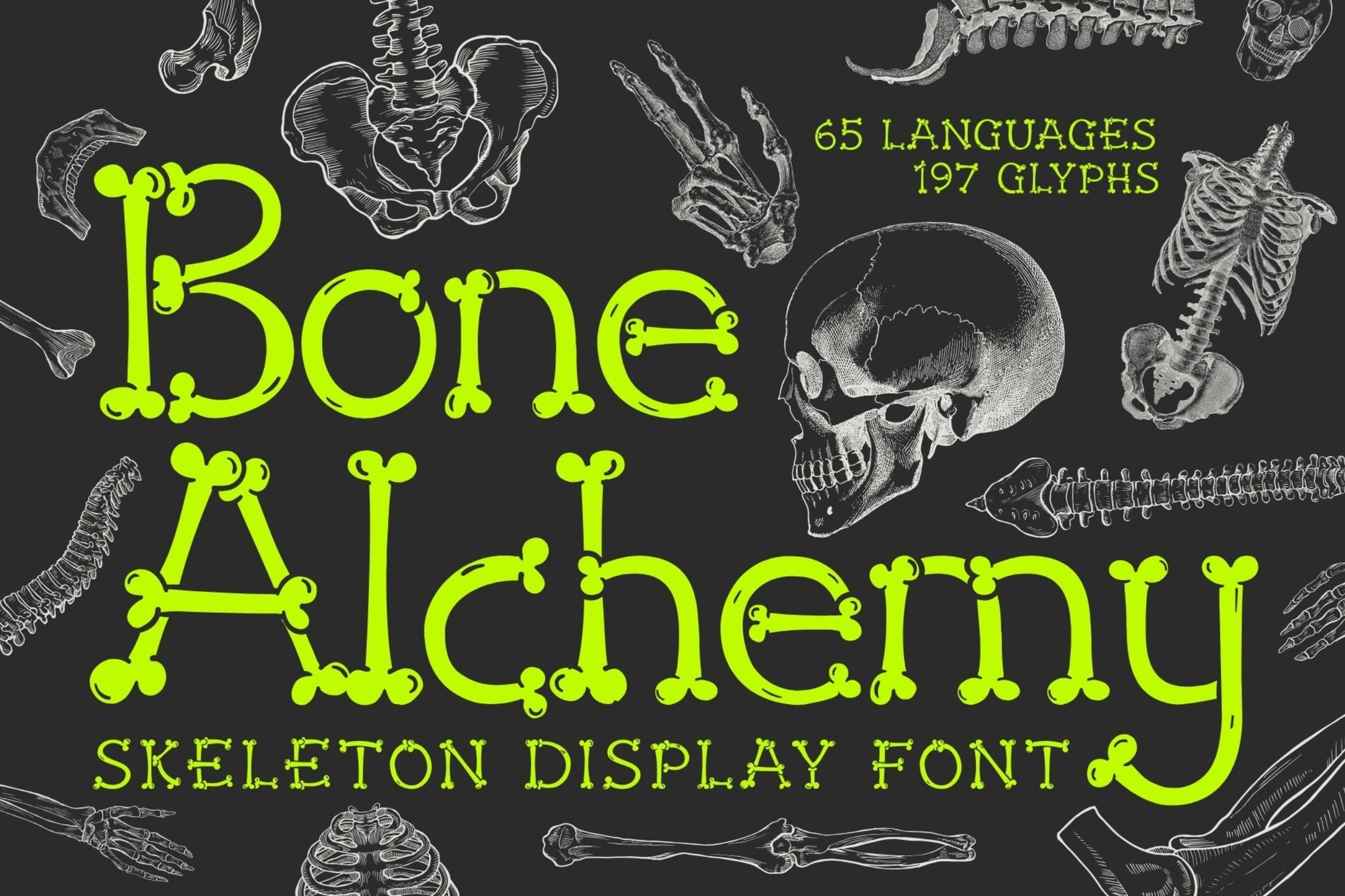 时尚俏皮深色主题品牌包装邀请函设计装饰英文字体安装包 Bone Alchemy – Skeleton Typeface特色图 时尚俏皮深色主题品牌包装邀请函设计装饰英文字体安装包 Bone Alchemy – Skeleton Typeface