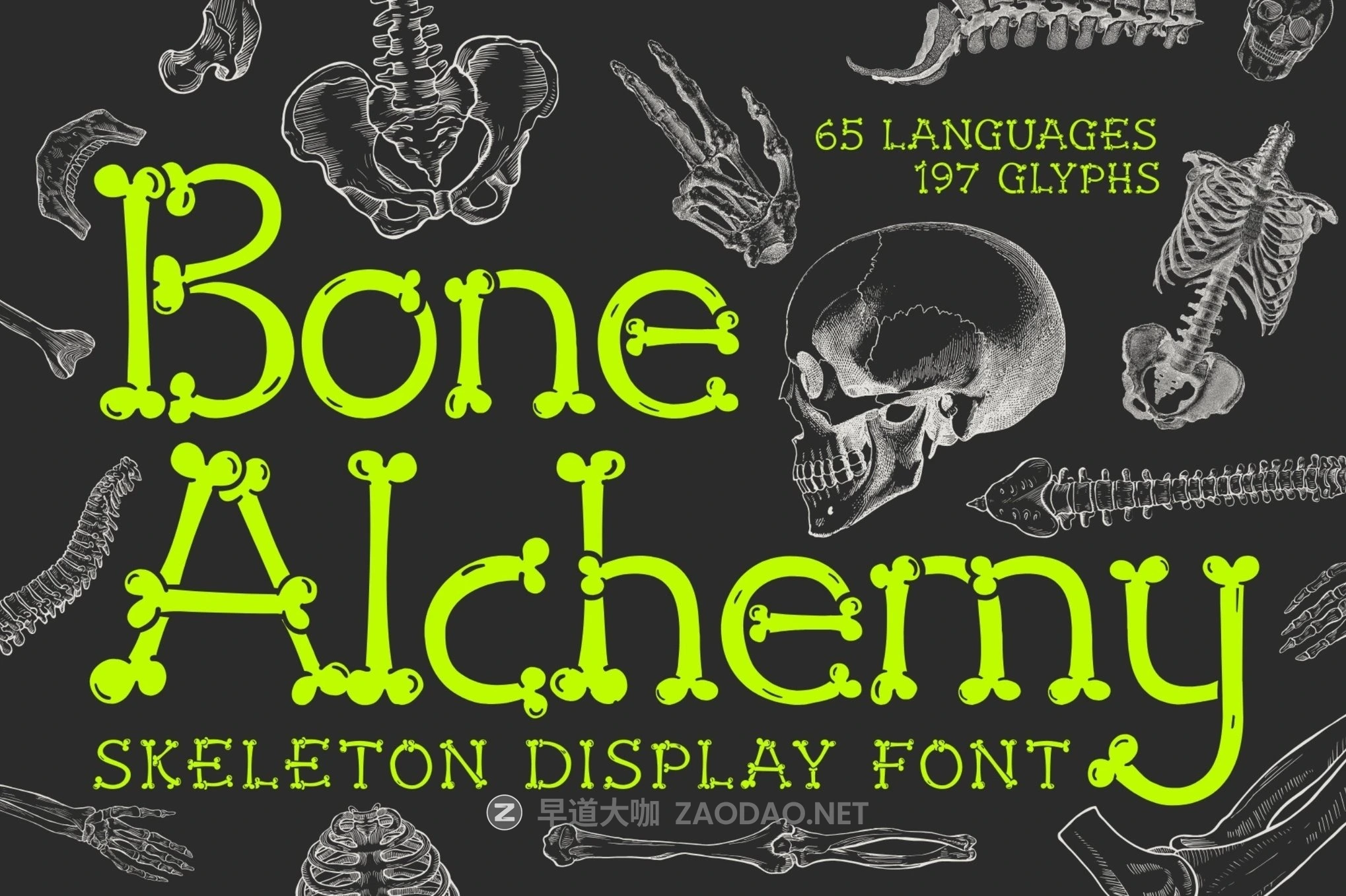 时尚俏皮深色主题品牌包装邀请函设计装饰英文字体安装包 Bone Alchemy – Skeleton Typeface插图 时尚俏皮深色主题品牌包装邀请函设计装饰英文字体安装包 Bone Alchemy – Skeleton Typeface插图