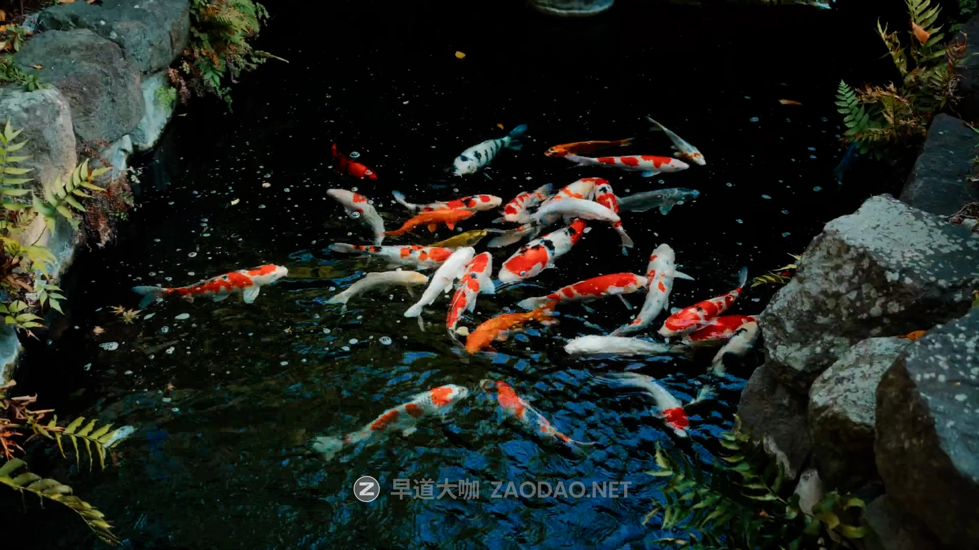 高级电影感旅拍广告短片人文扫街Vlog视频达芬奇调色节点Powergrade预设插图4 高级电影感旅拍广告短片人文扫街Vlog视频达芬奇调色节点Powergrade预设插图4