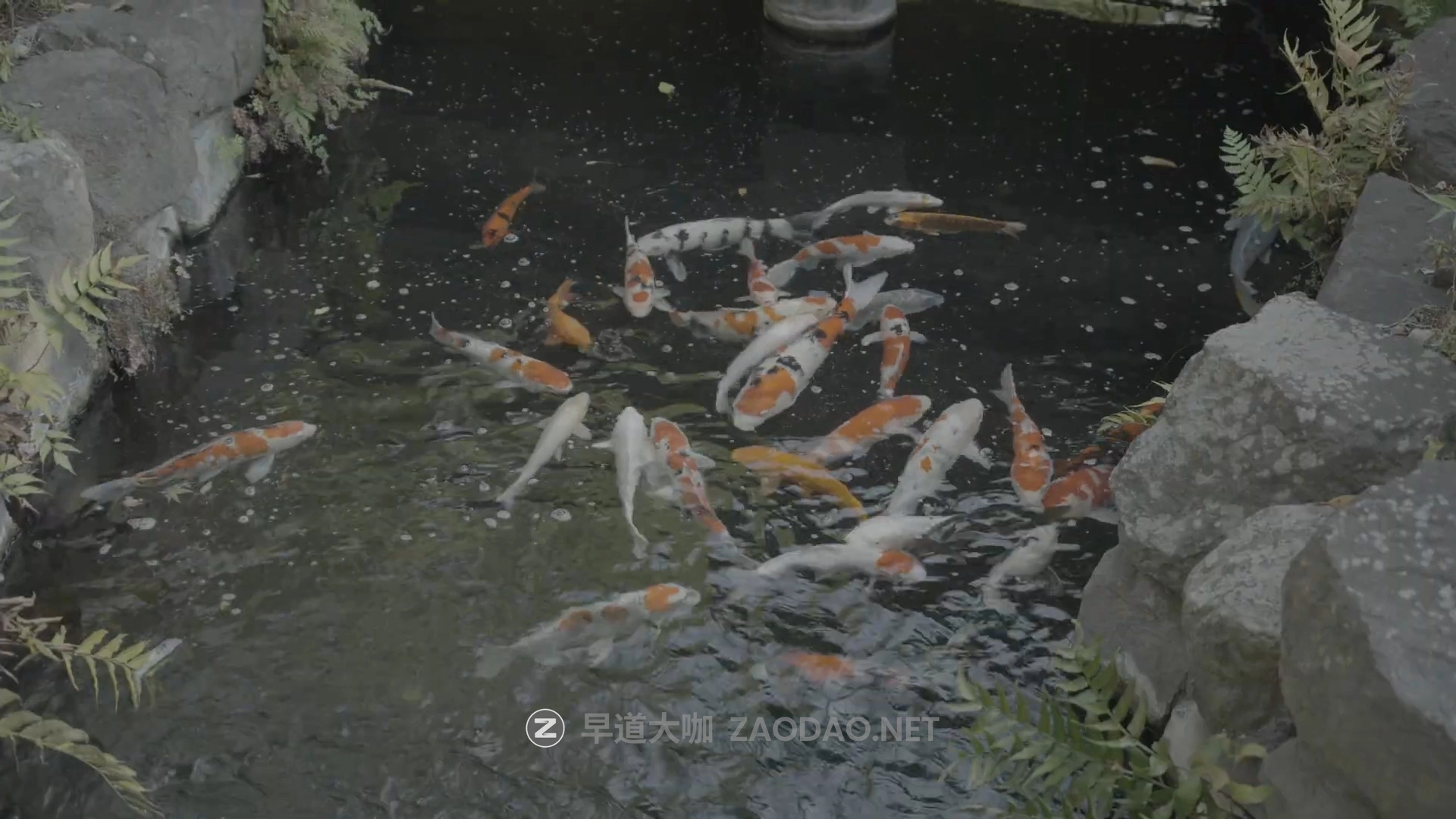 高级电影感旅拍广告短片人文扫街Vlog视频达芬奇调色节点Powergrade预设插图3 高级电影感旅拍广告短片人文扫街Vlog视频达芬奇调色节点Powergrade预设插图3