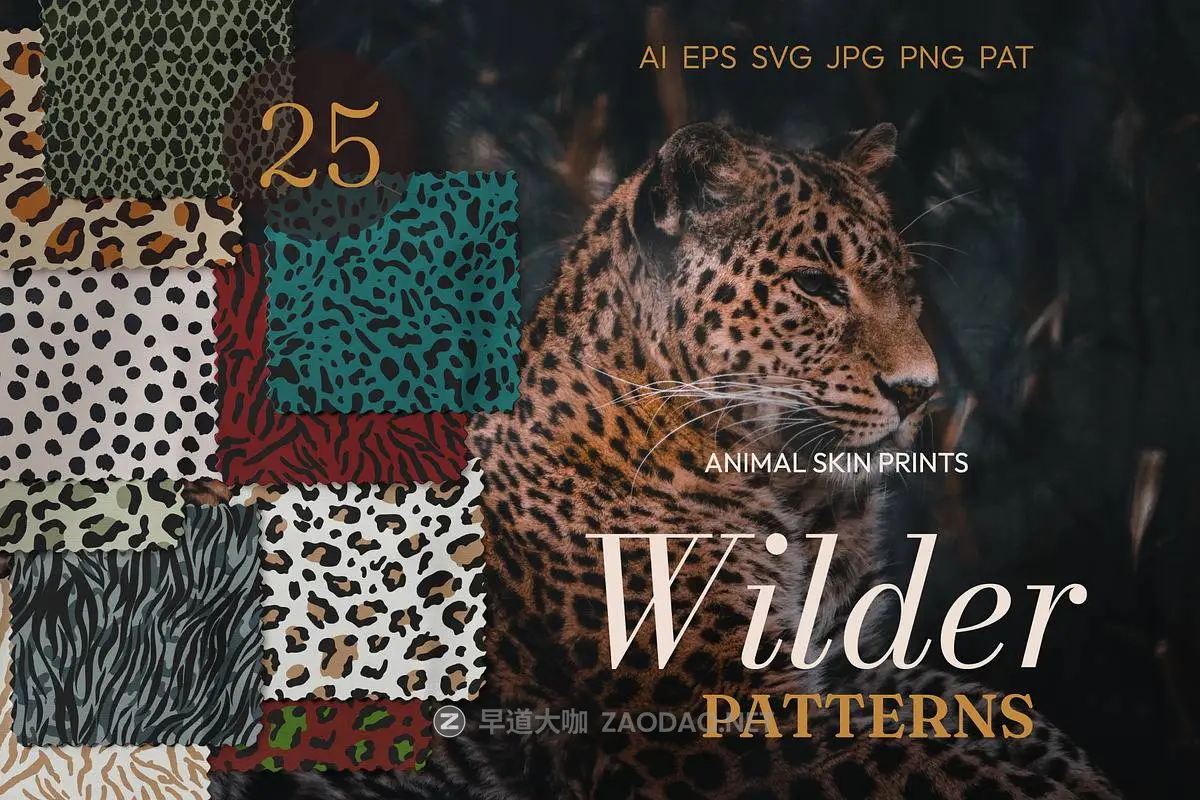 20260301021948282 20260301021948282