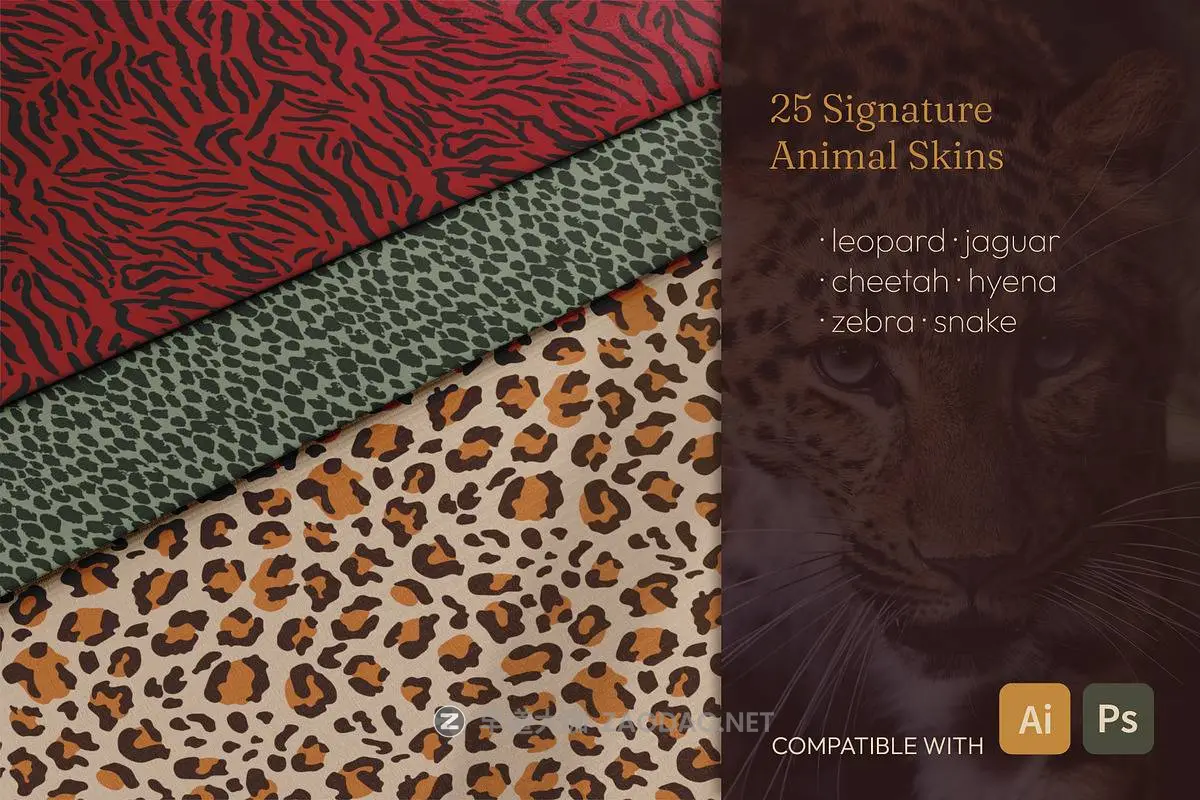 20260301021948299 20260301021948299