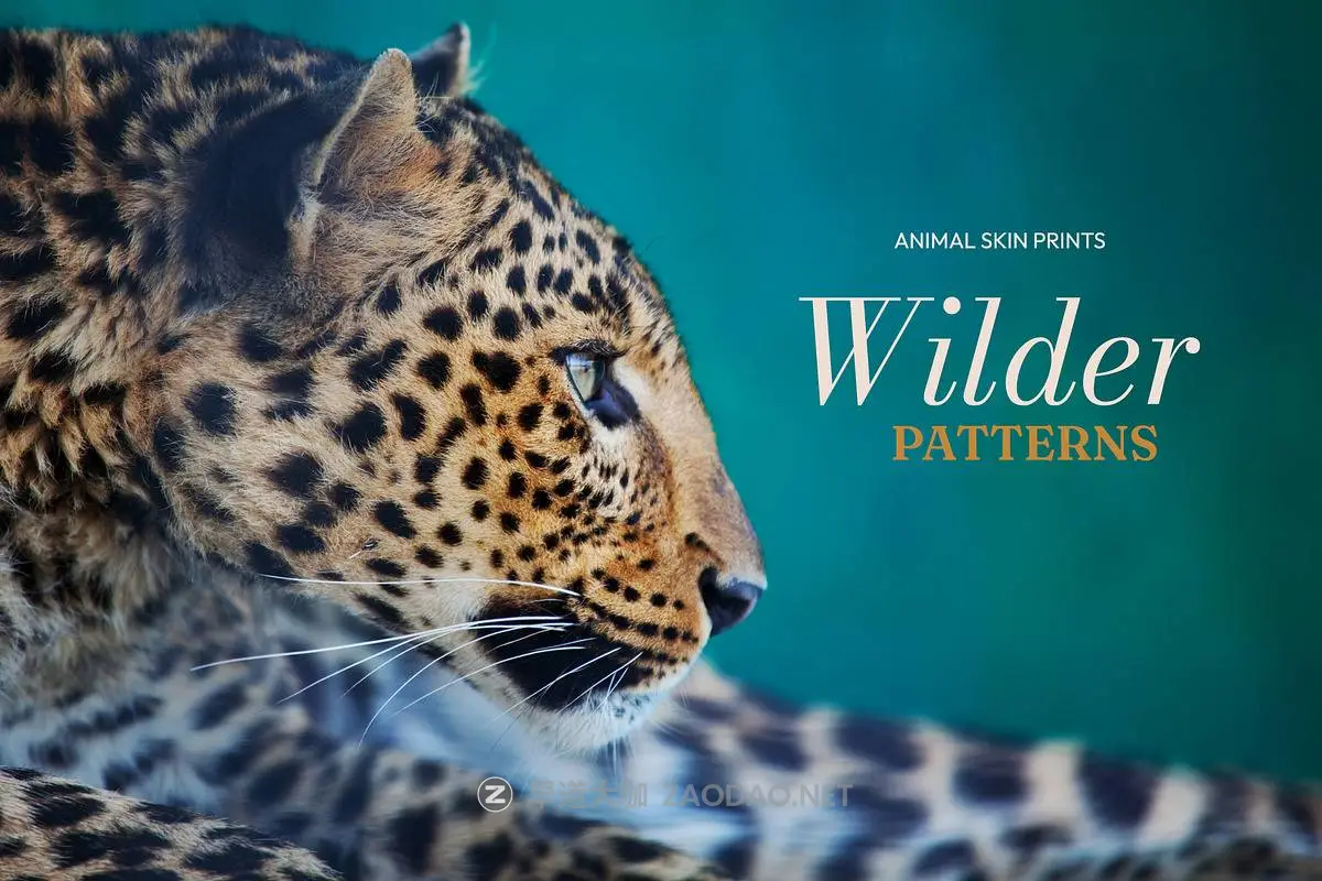 20260301021959516 20260301021959516