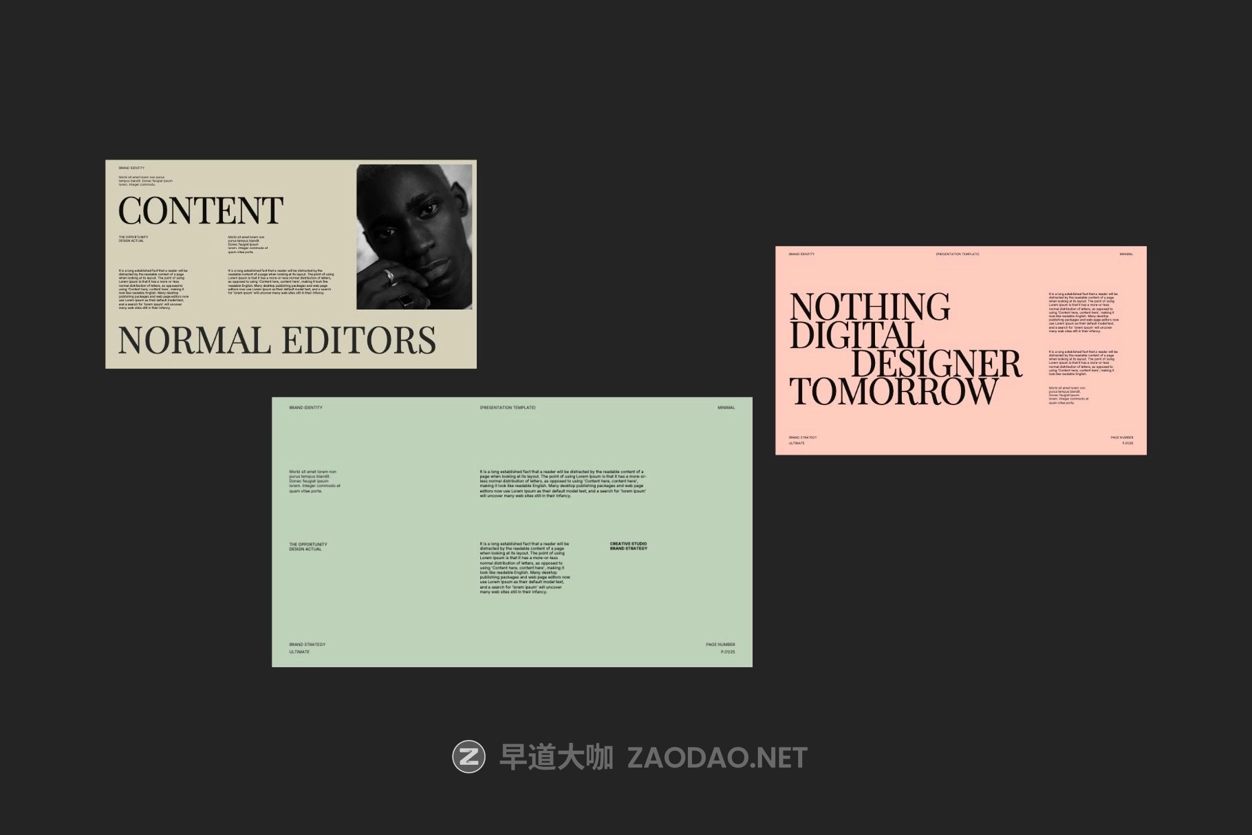 时尚优雅美学品牌营销策划演示文稿设计ppt模版 Modern Brand Strategy PowerPoint Template插图3 时尚优雅美学品牌营销策划演示文稿设计ppt模版 Modern Brand Strategy PowerPoint Template插图3