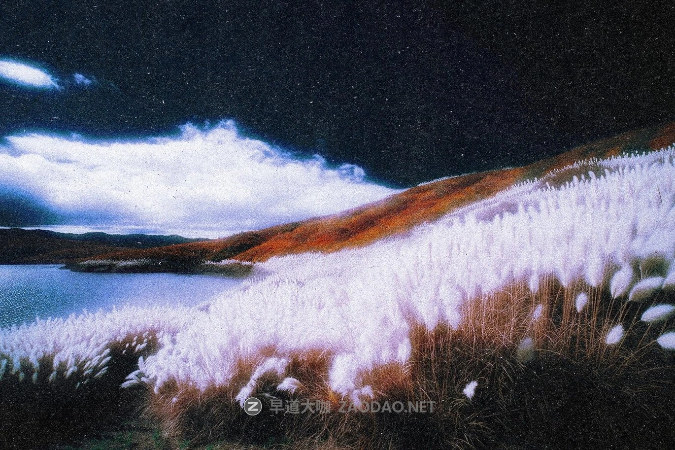 梦幻柔和模糊颗粒照片效果ps特效滤镜样机 Soft Blur Photo Effect插图3 梦幻柔和模糊颗粒照片效果ps特效滤镜样机 Soft Blur Photo Effect插图3
